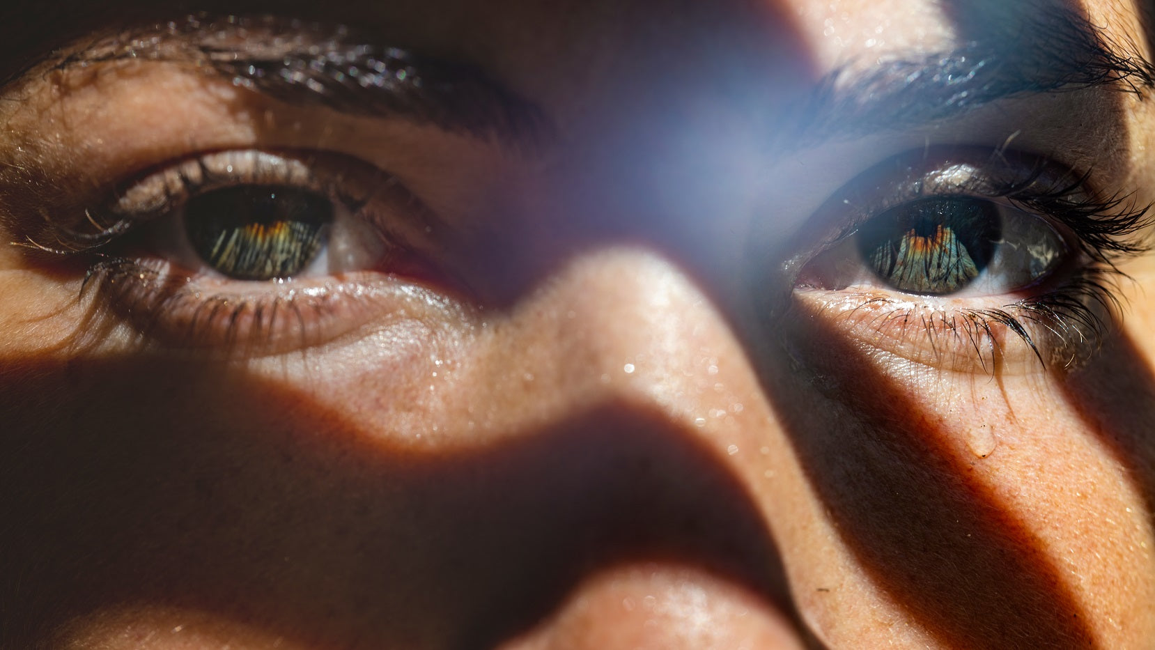 eyelash serum that really works