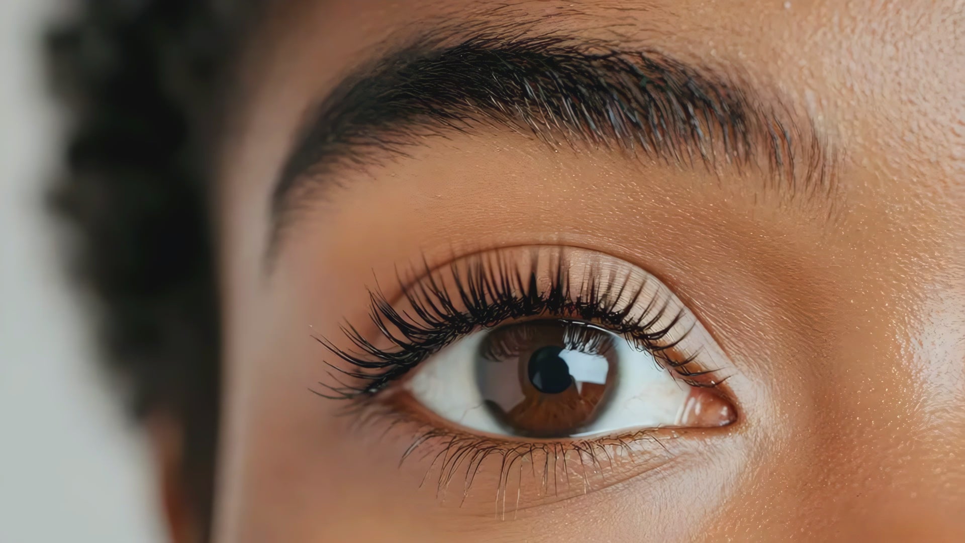 eye lash serum